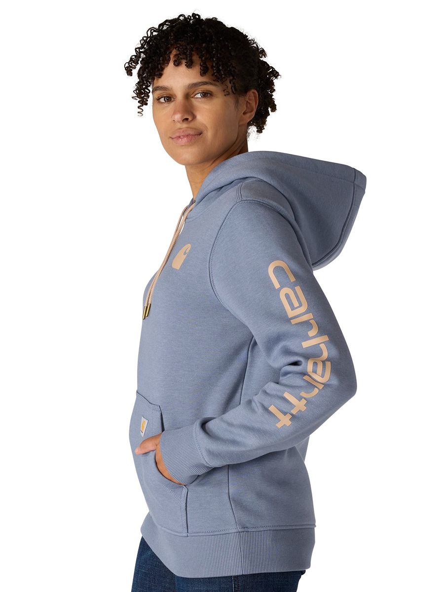Carhartt Clarksburg Graphic Sleeve Pullover