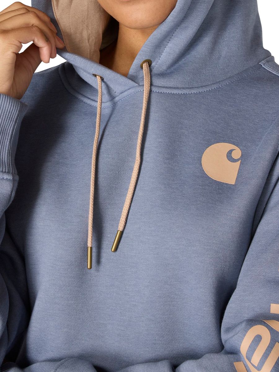 Carhartt Clarksburg Graphic Sleeve Pullover