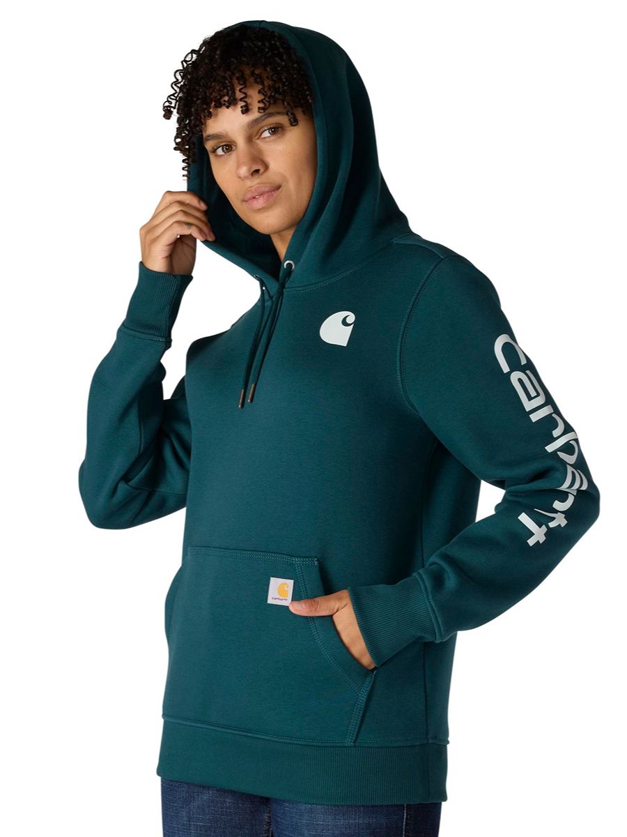 Carhartt Clarksburg Graphic Sleeve Pullover
