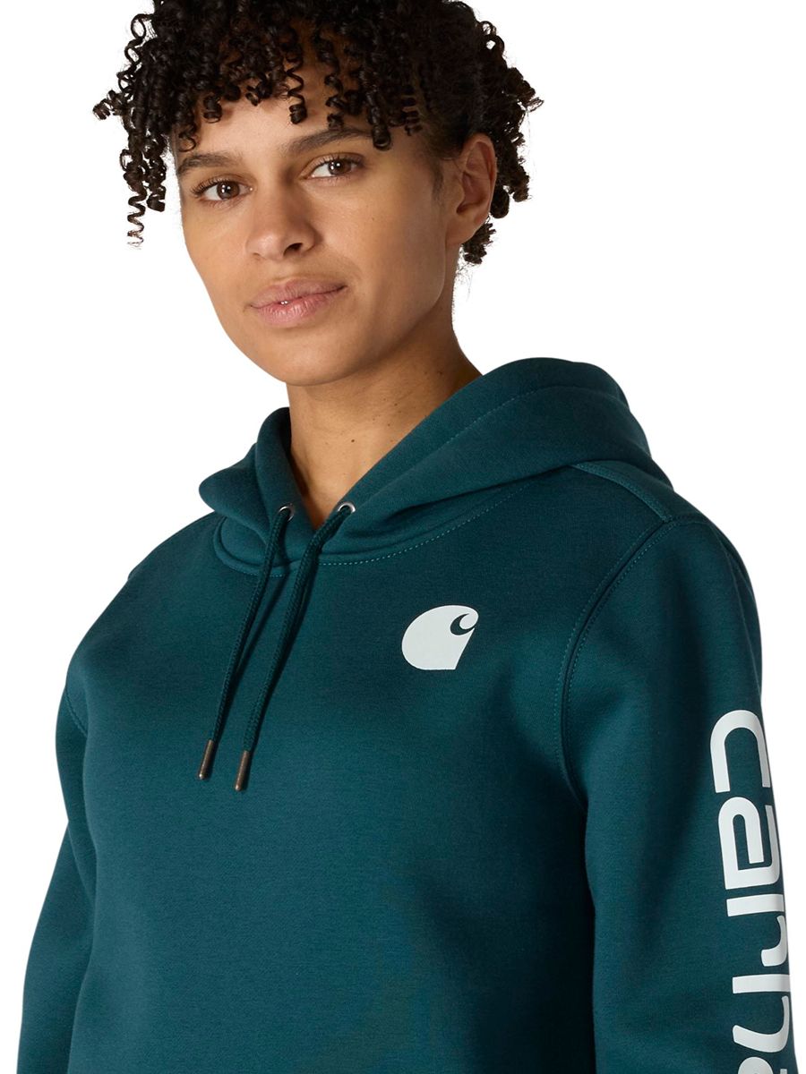 Carhartt Clarksburg Graphic Sleeve Pullover