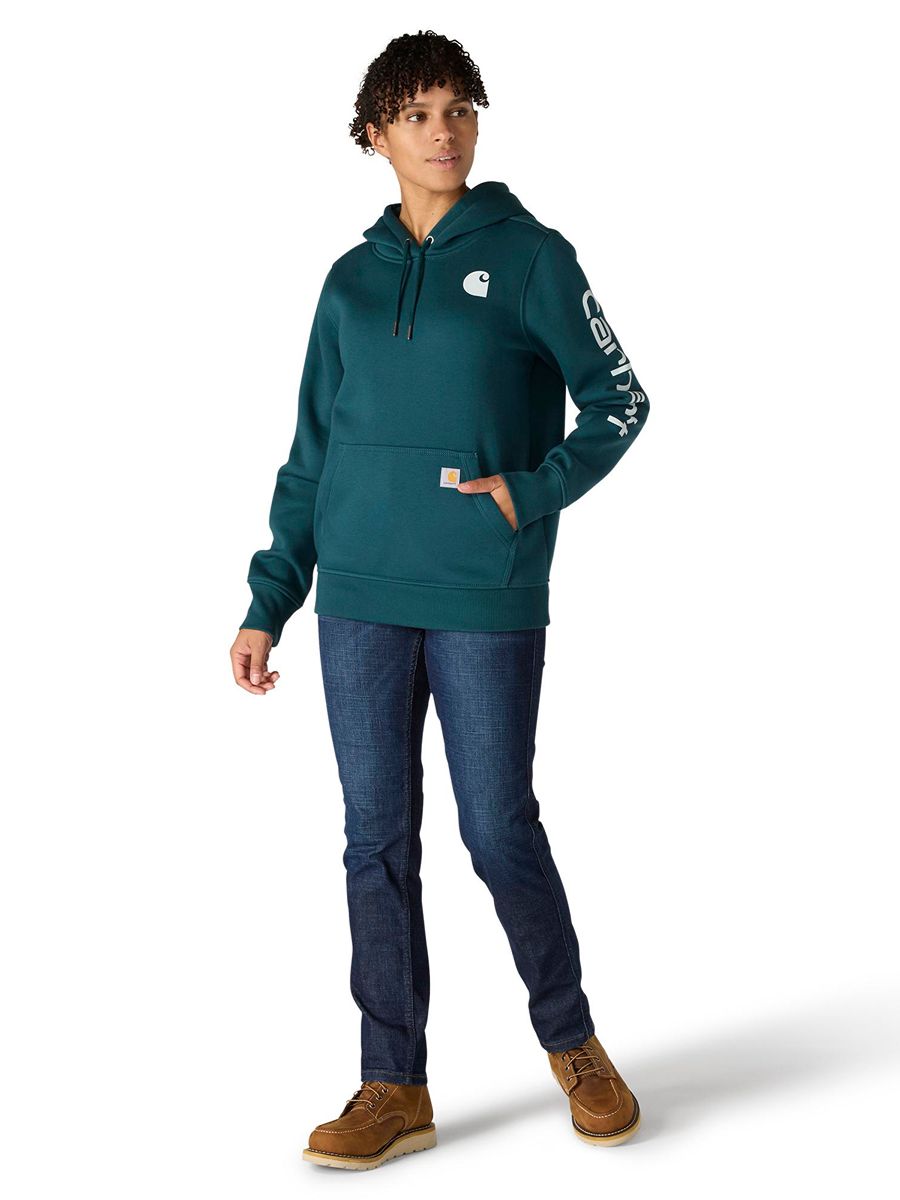 Carhartt Clarksburg Graphic Sleeve Pullover