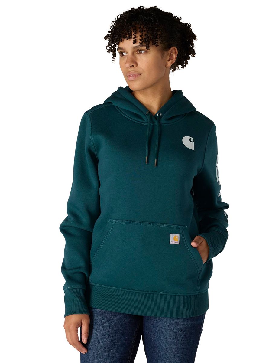 Carhartt Clarksburg Graphic Sleeve Pullover