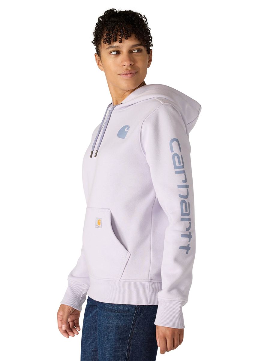 Carhartt Clarksburg Graphic Sleeve Pullover