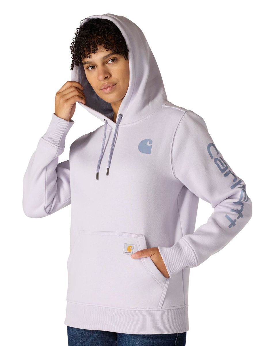 Carhartt Clarksburg Graphic Sleeve Pullover