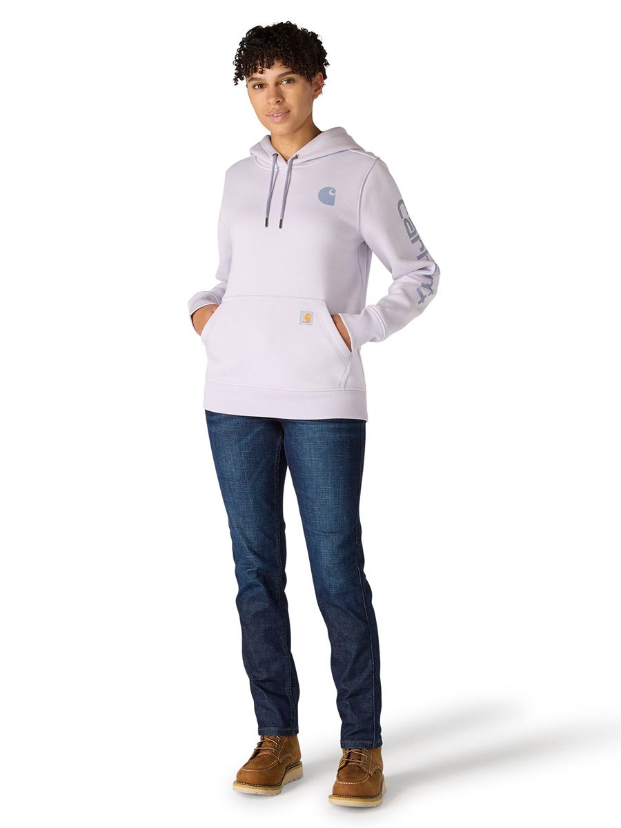 Carhartt Clarksburg Graphic Sleeve Pullover
