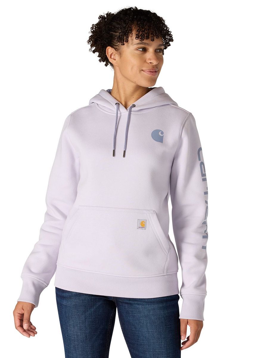 Carhartt Clarksburg Graphic Sleeve Pullover