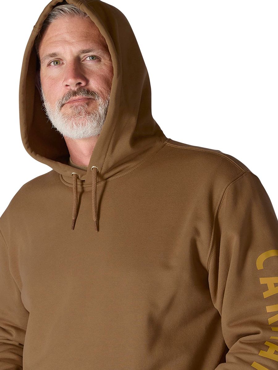 Carhartt Loose Fit Midweight Logo Graphic Hoodie