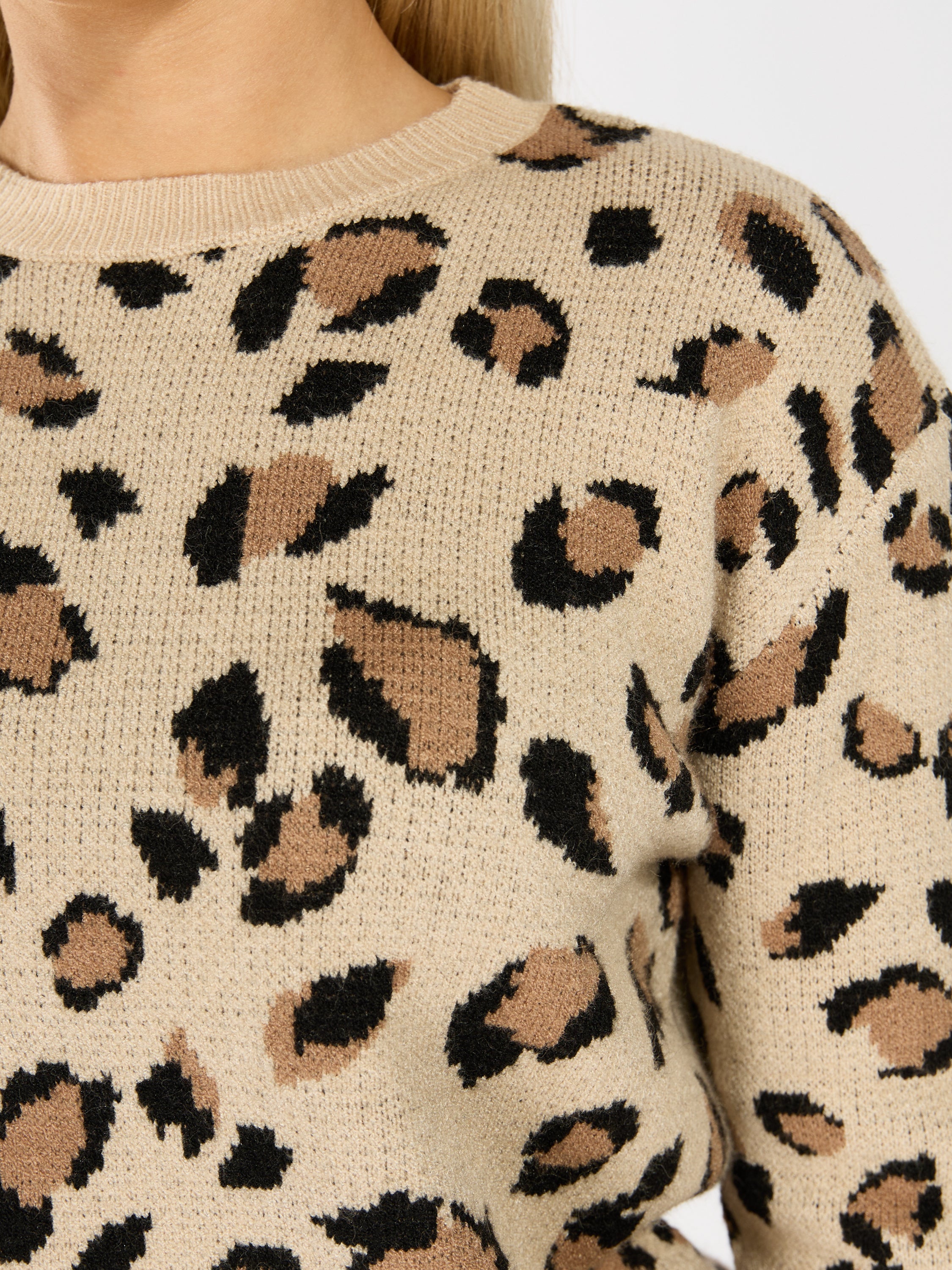 Leo Crewneck Sweater
