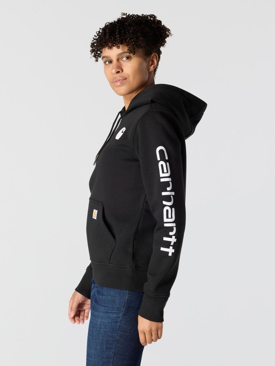 Carhartt Clarksburg Graphic Sleeve Pullover