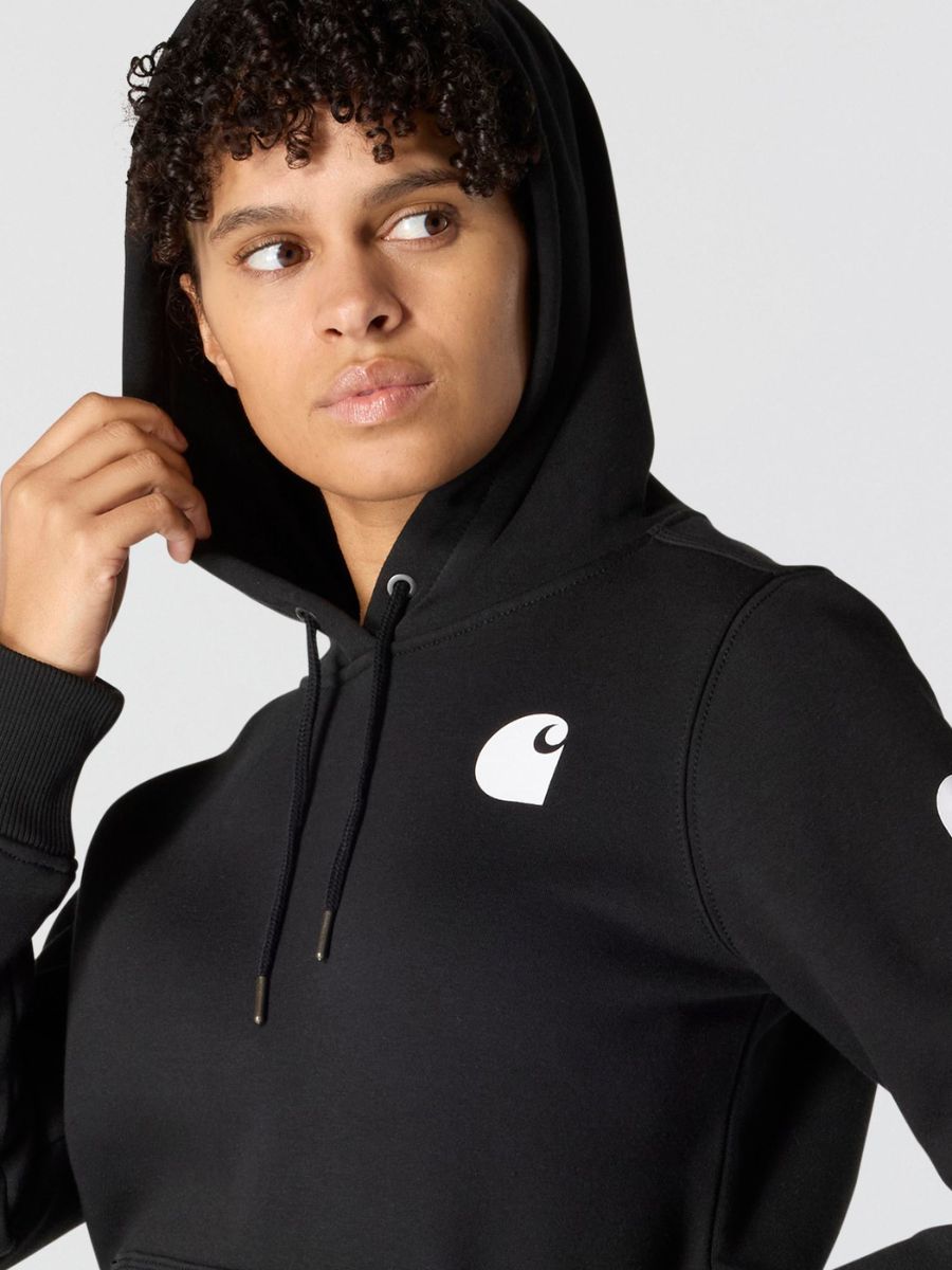Carhartt Clarksburg Graphic Sleeve Pullover