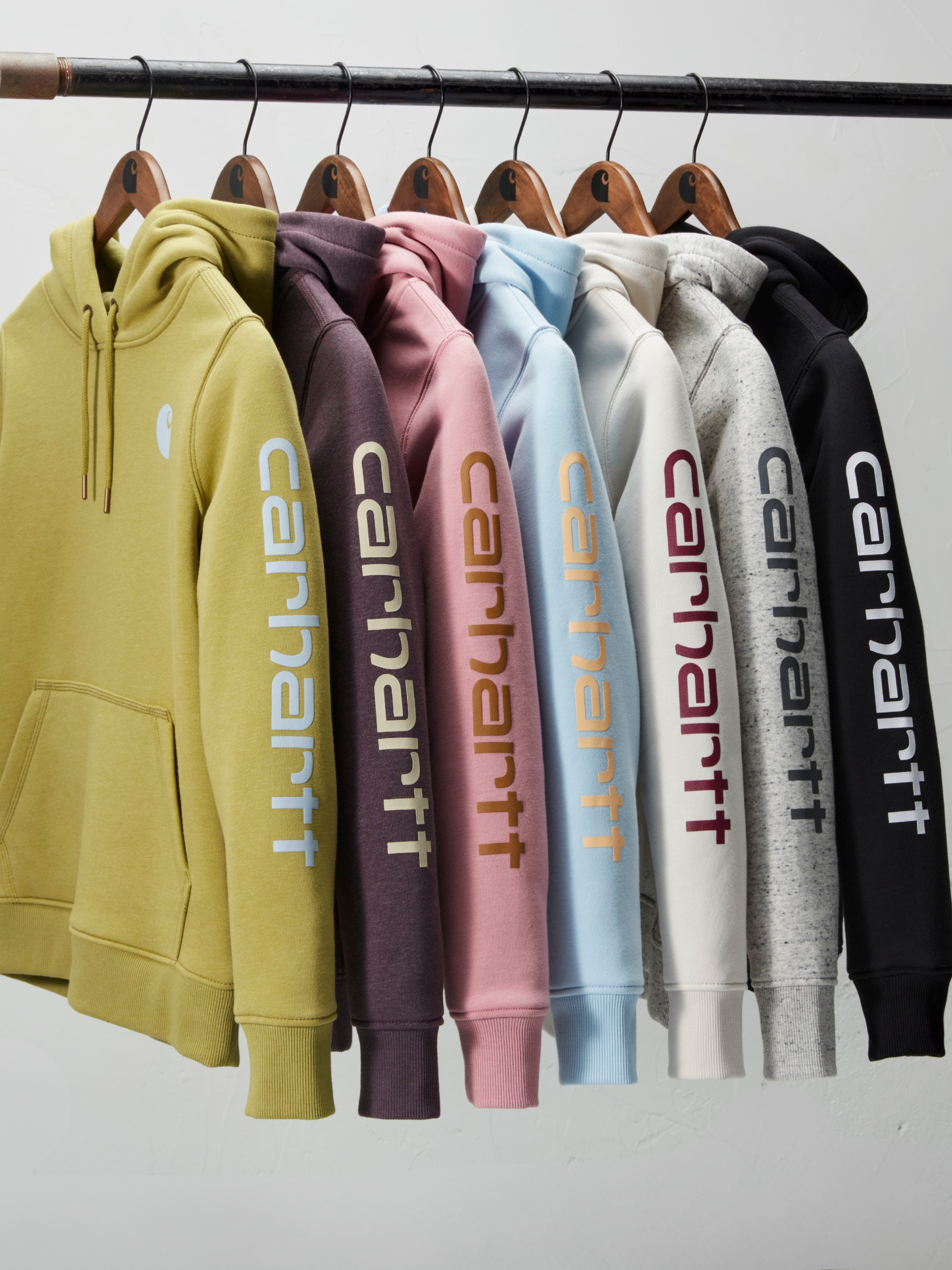 Carhartt Clarksburg Graphic Sleeve Pullover