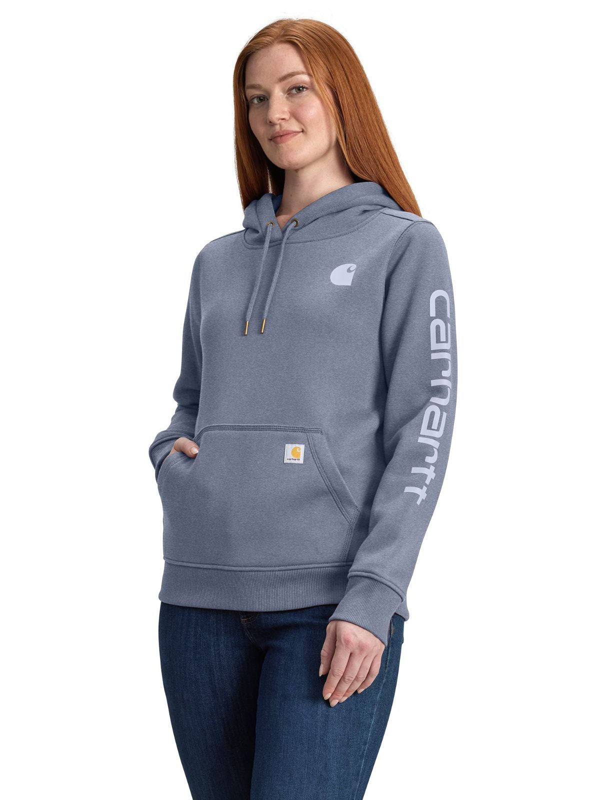 Carhartt Clarksburg Graphic Sleeve Pullover