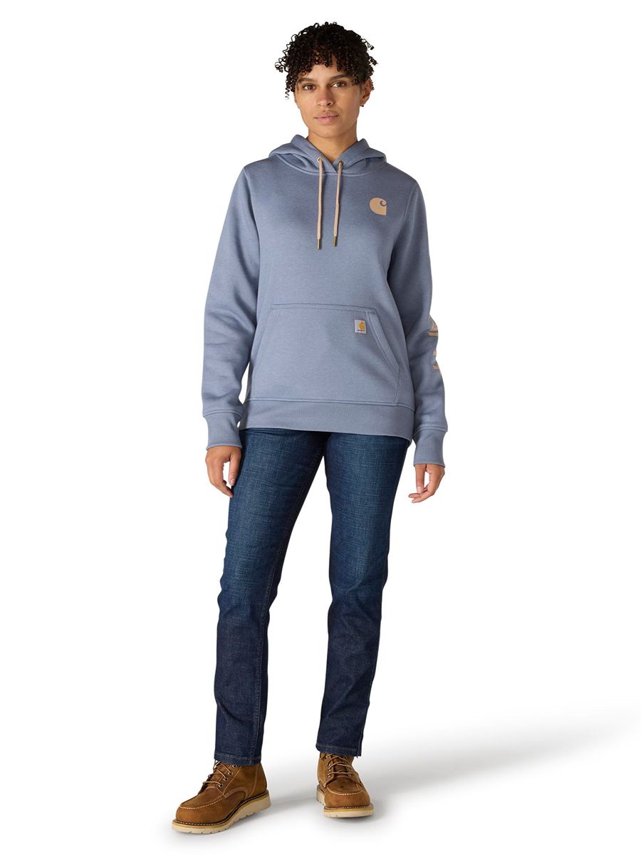 Carhartt Clarksburg Graphic Sleeve Pullover