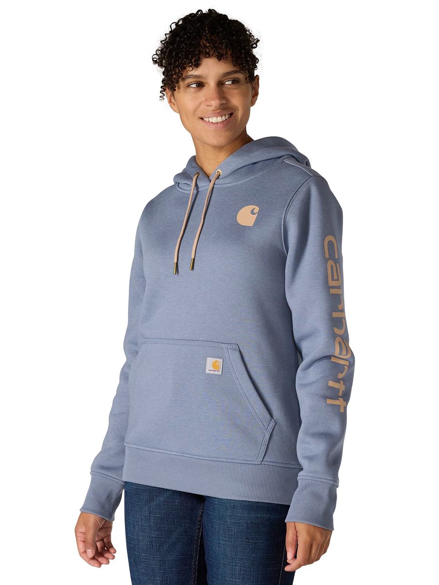 Carhartt Clarksburg Graphic Sleeve Pullover