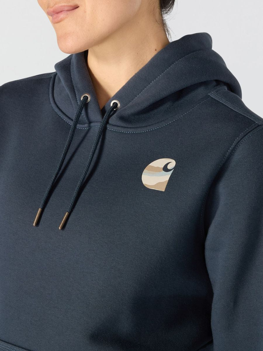 Carhartt Clarksburg Graphic Sleeve Pullover
