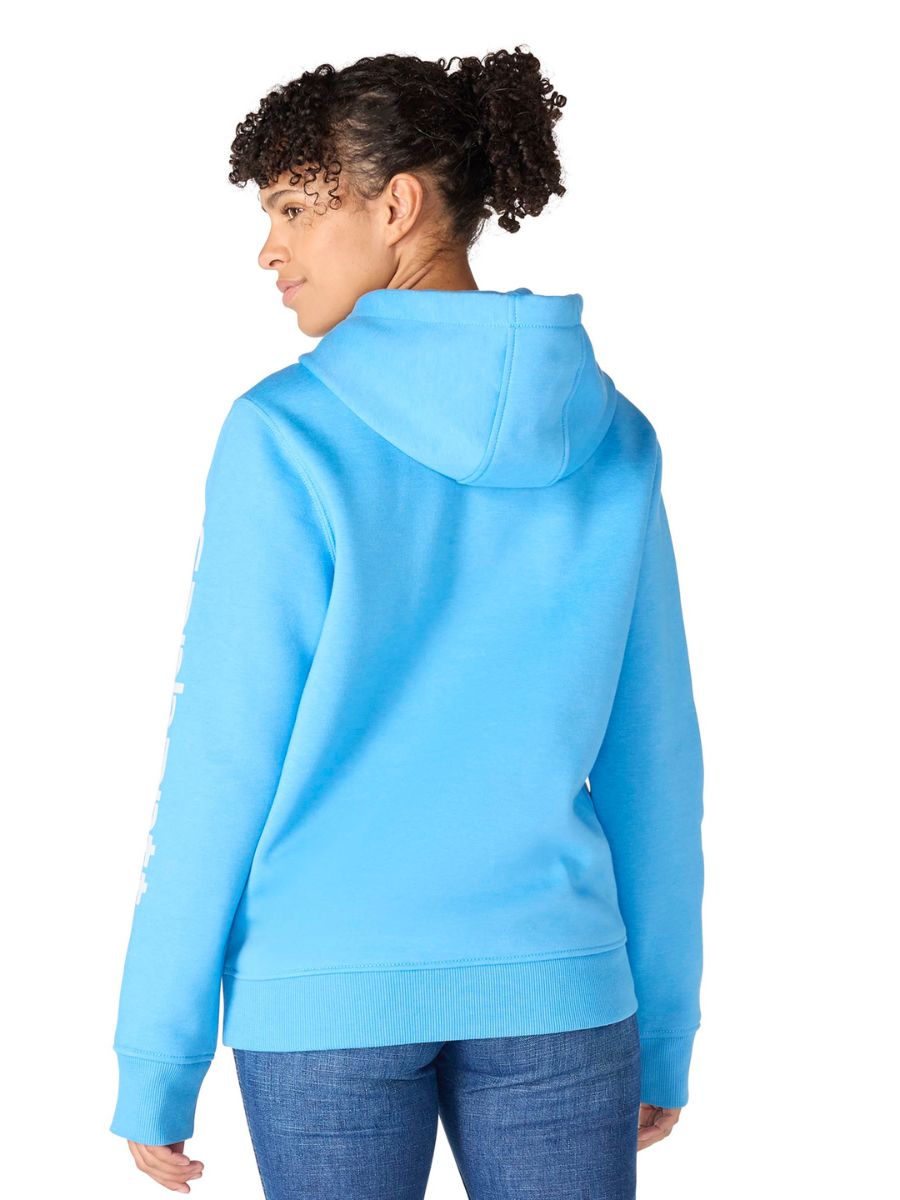Carhartt Clarksburg Graphic Sleeve Pullover