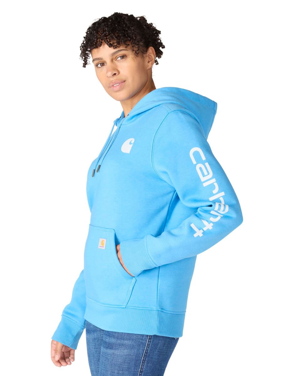 Carhartt Clarksburg Graphic Sleeve Pullover