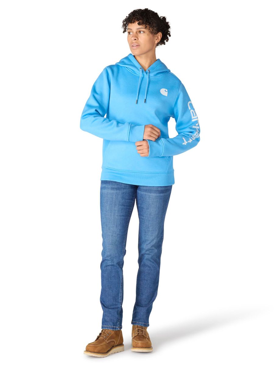 Carhartt Clarksburg Graphic Sleeve Pullover