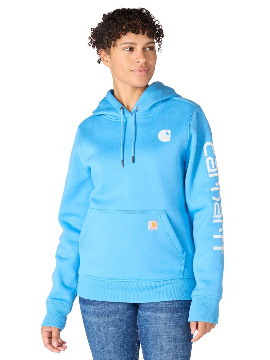 Carhartt Clarksburg Graphic Sleeve Pullover