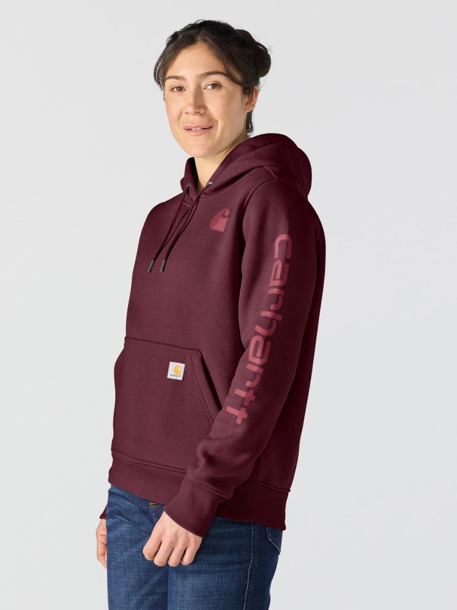 Carhartt Clarksburg Graphic Sleeve Pullover