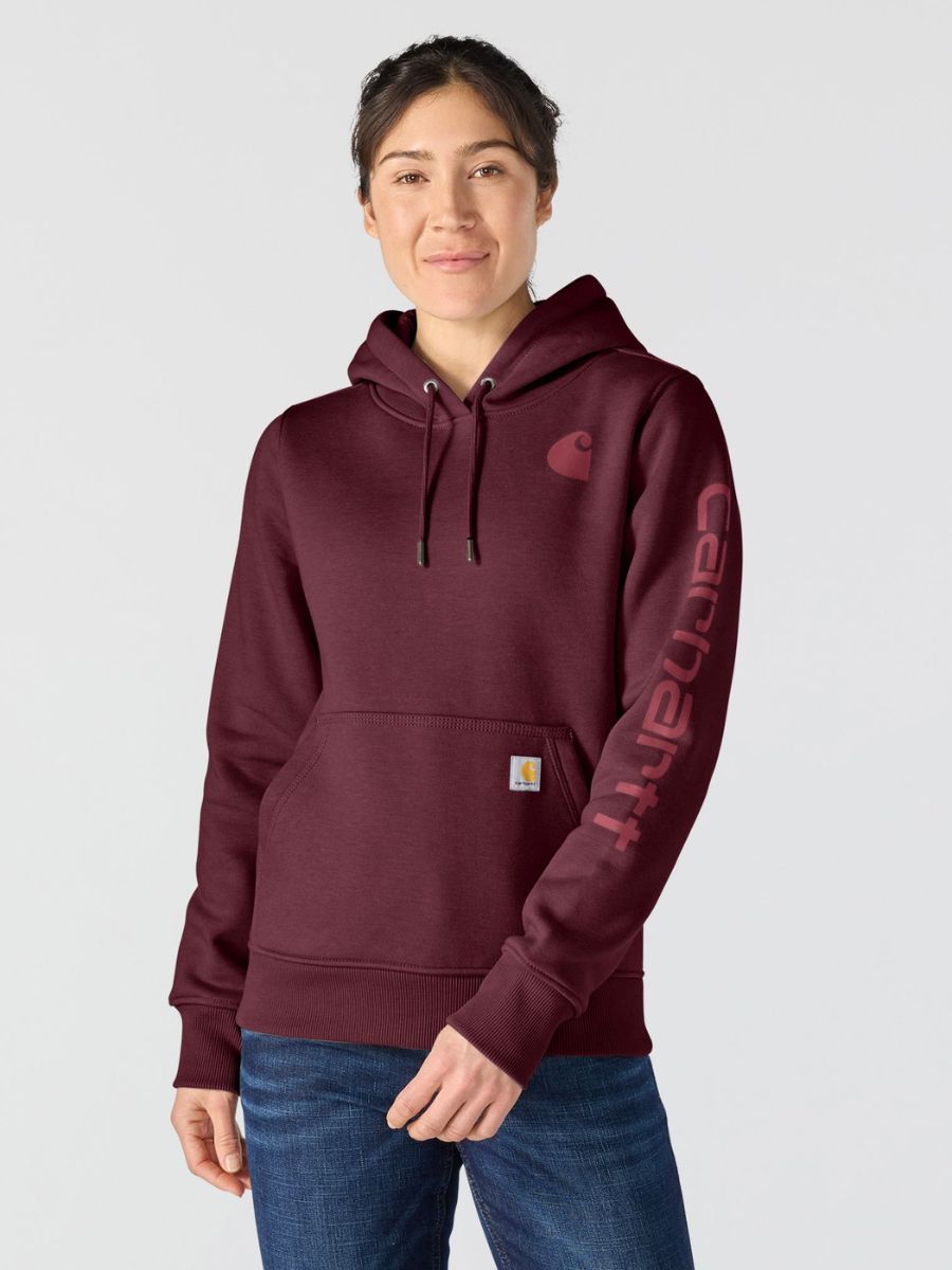 Carhartt Clarksburg Graphic Sleeve Pullover