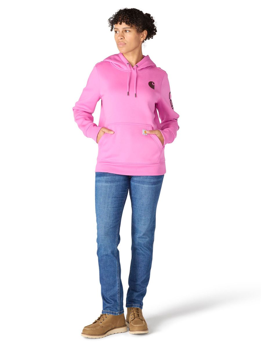 Carhartt Clarksburg Graphic Sleeve Pullover