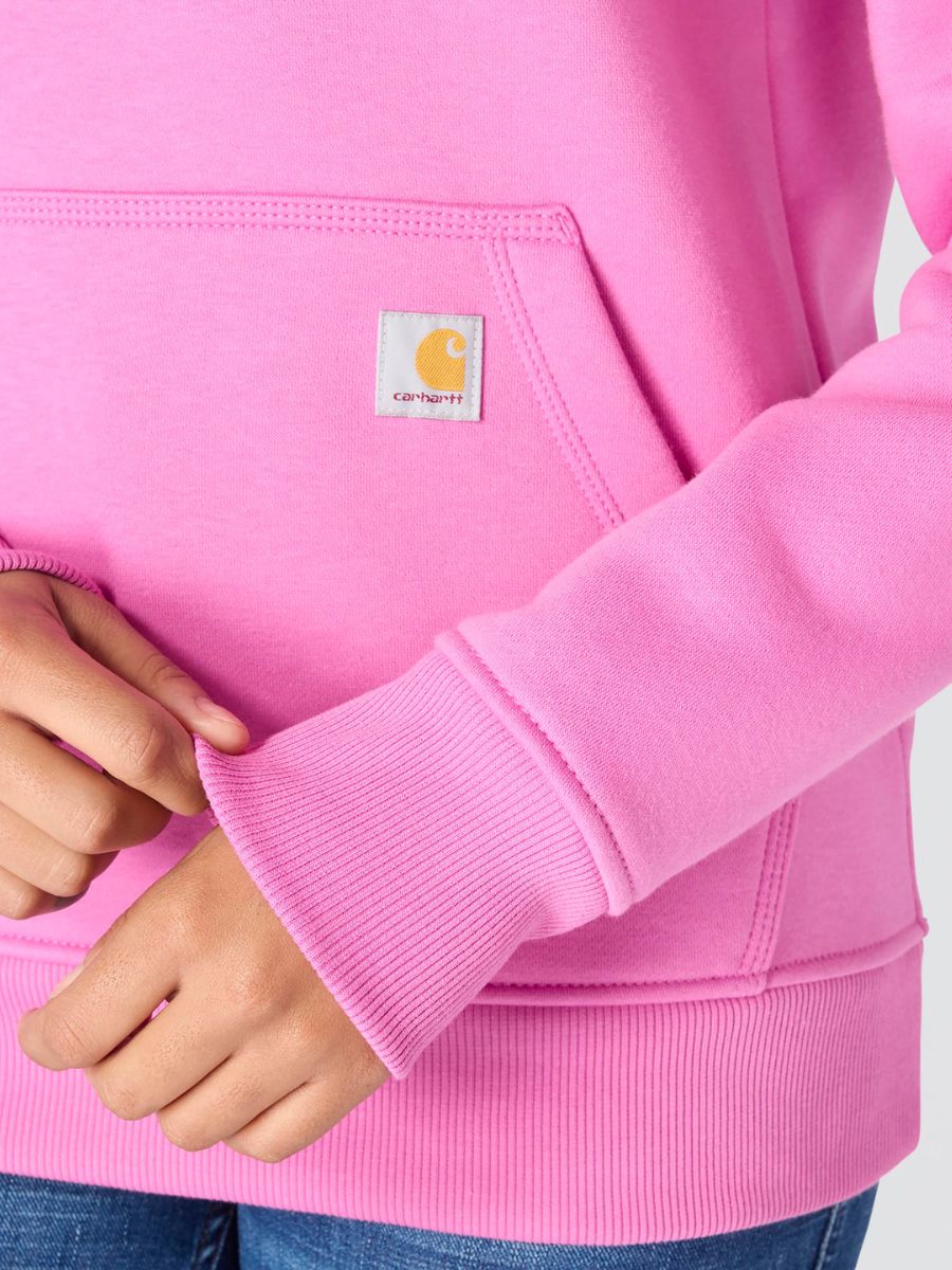 Carhartt Clarksburg Graphic Sleeve Pullover