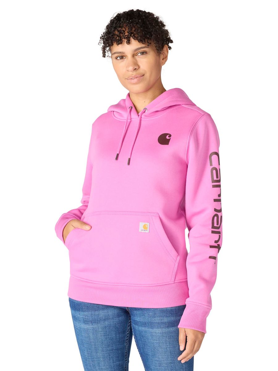Carhartt Clarksburg Graphic Sleeve Pullover