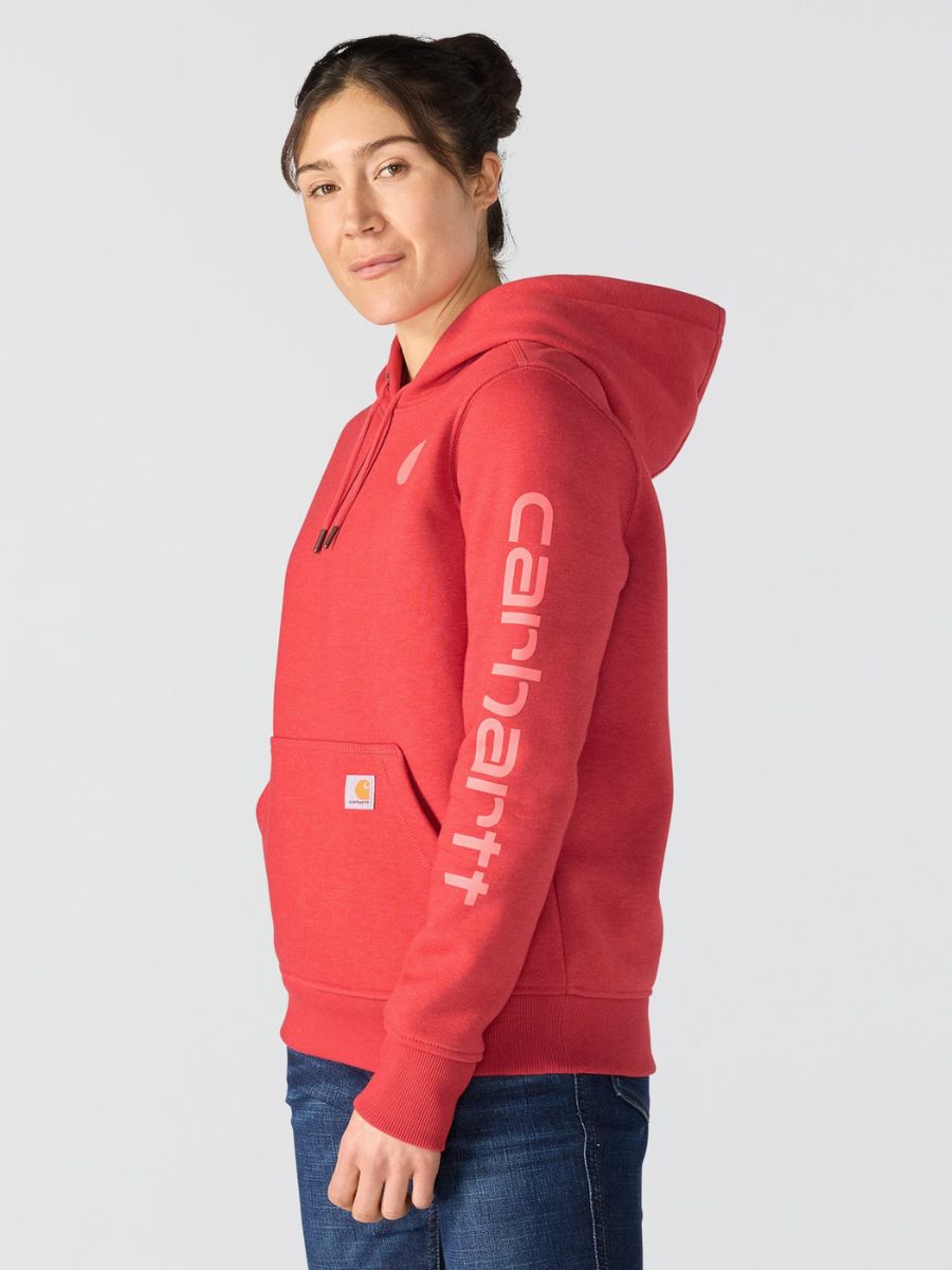 Carhartt Clarksburg Graphic Sleeve Pullover