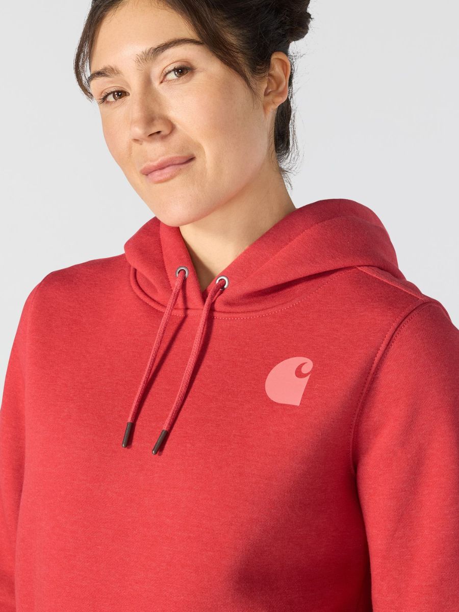 Carhartt Clarksburg Graphic Sleeve Pullover