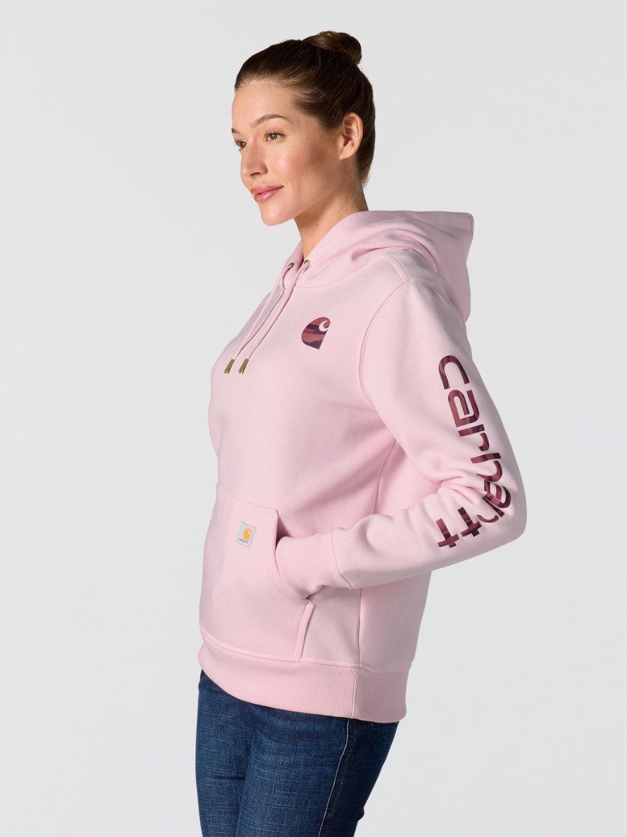 Carhartt Clarksburg Graphic Sleeve Pullover