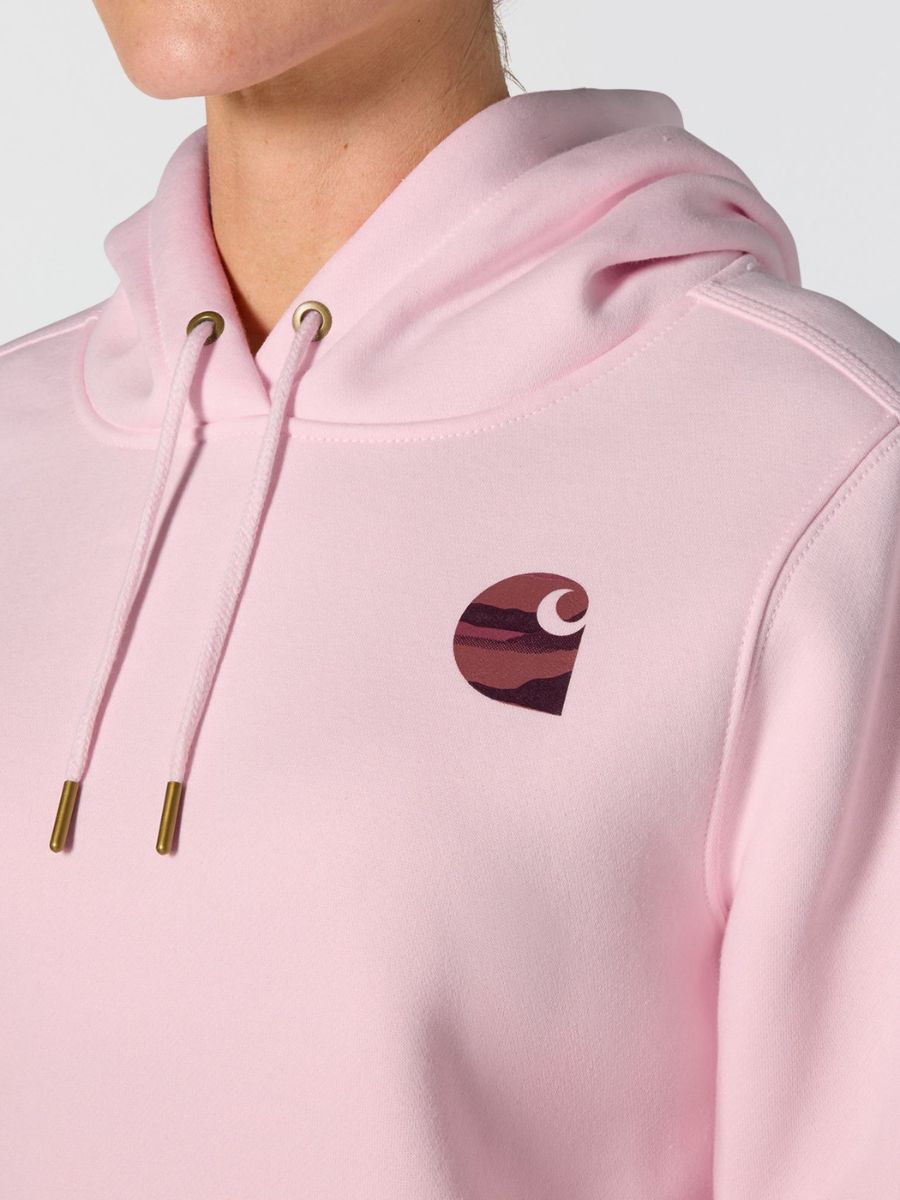 Carhartt Clarksburg Graphic Sleeve Pullover