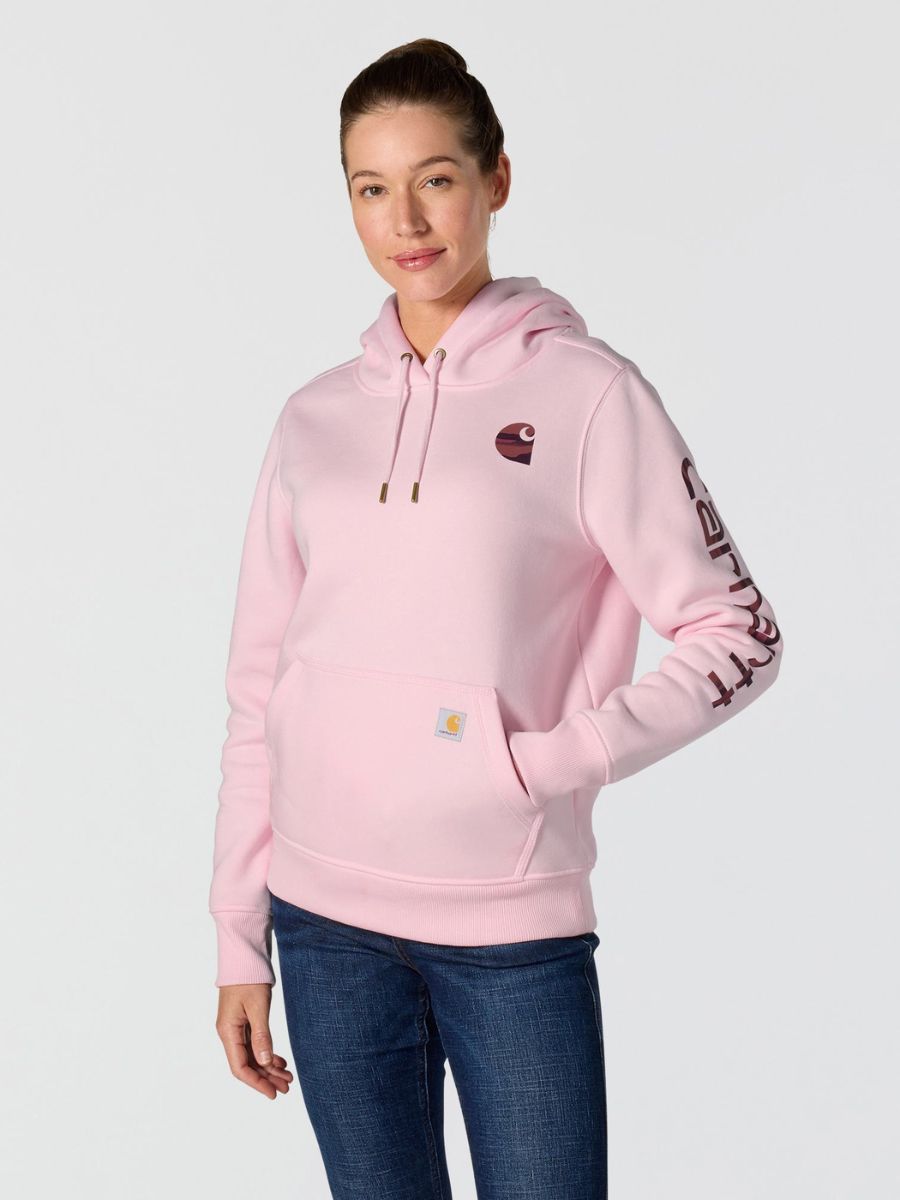 Carhartt Clarksburg Graphic Sleeve Pullover