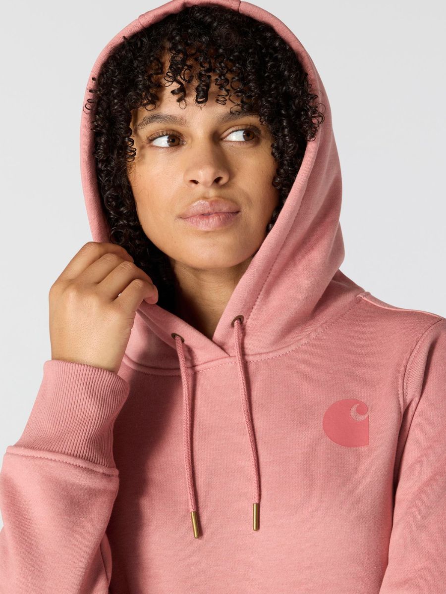 Carhartt Clarksburg Graphic Sleeve Pullover
