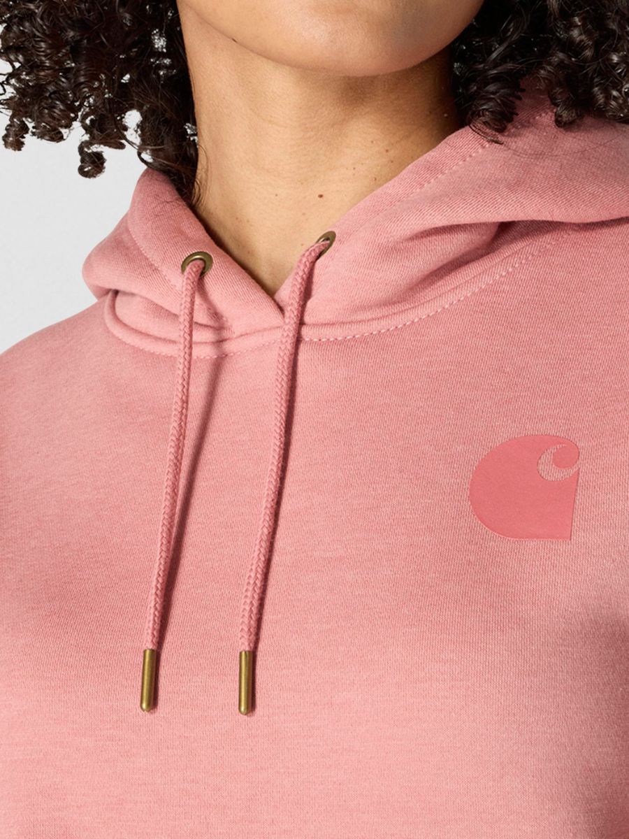 Carhartt Clarksburg Graphic Sleeve Pullover