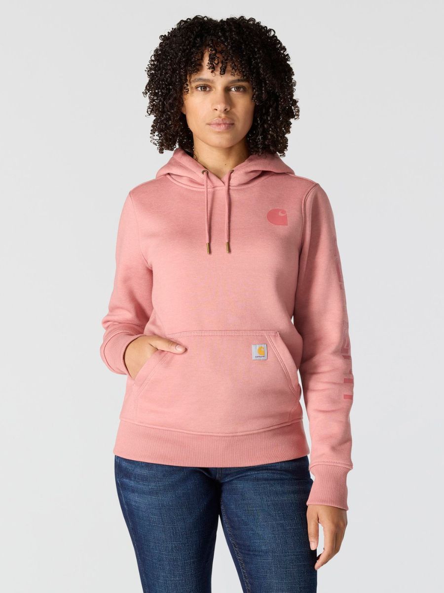 Carhartt Clarksburg Graphic Sleeve Pullover