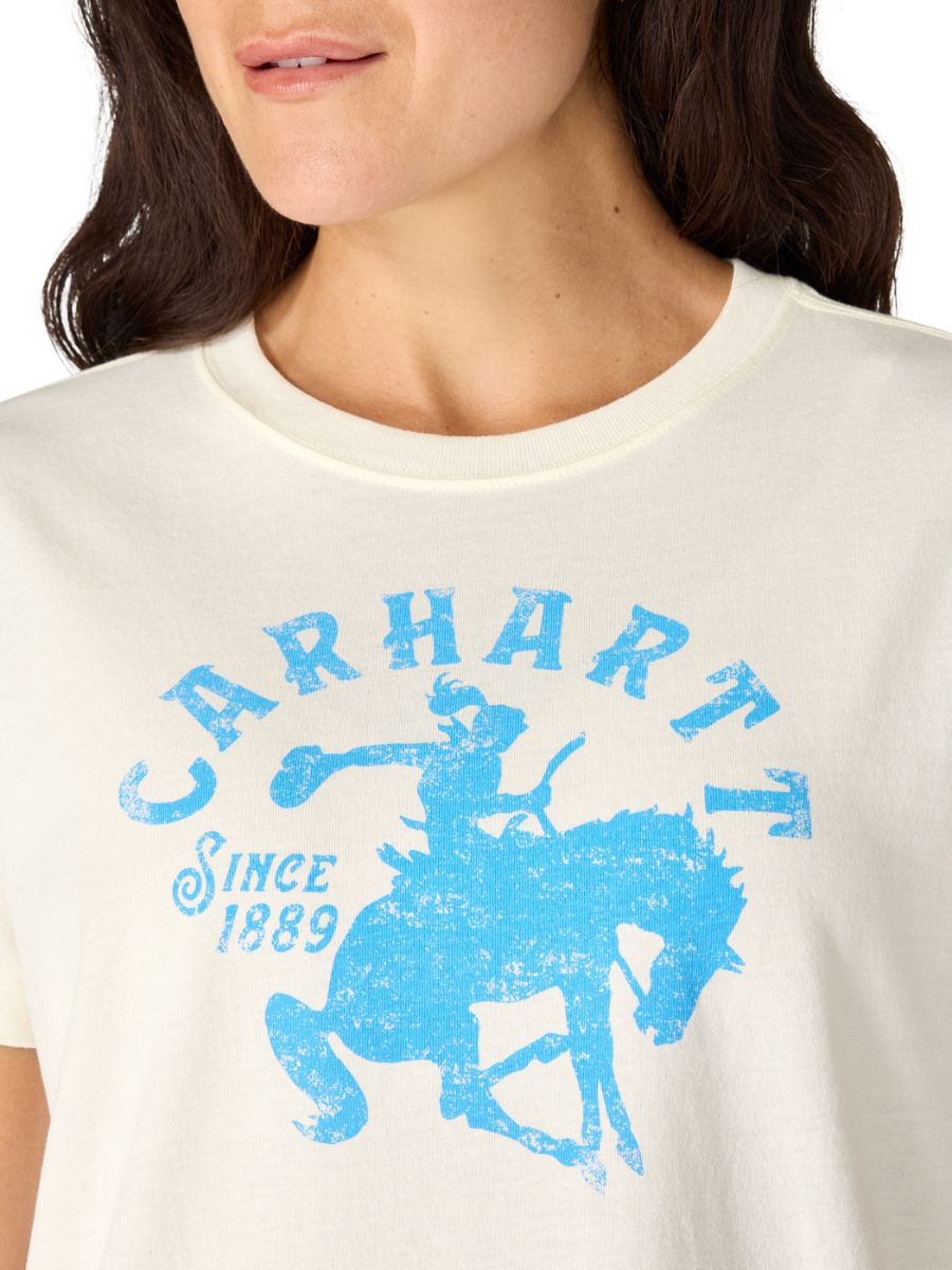 Carhartt Irvine Relaxed Horse Graphic T-Shirt