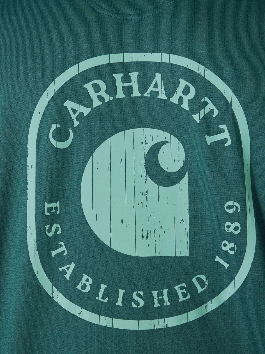 Carhartt Paxton 1889 Graphic Hoodie