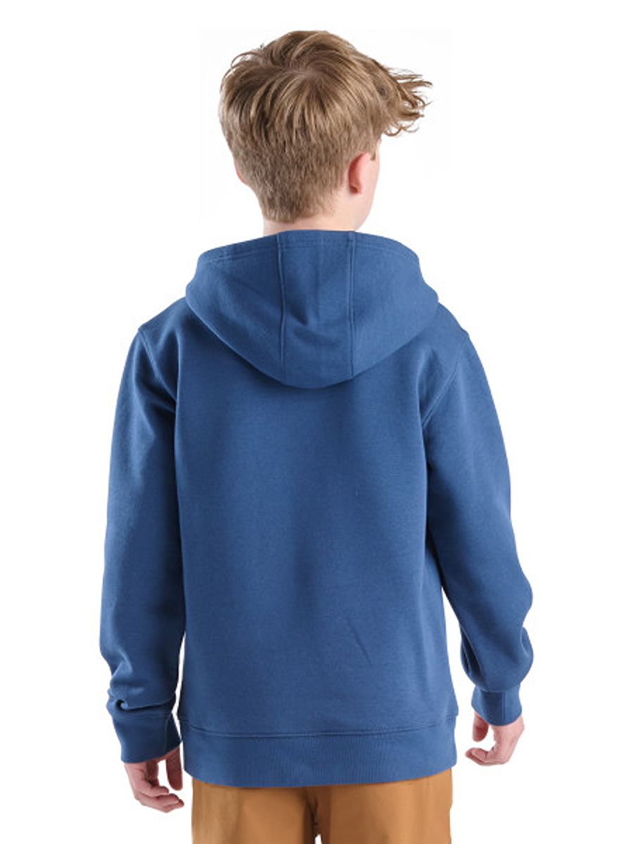Carhartt Kids Hoodie