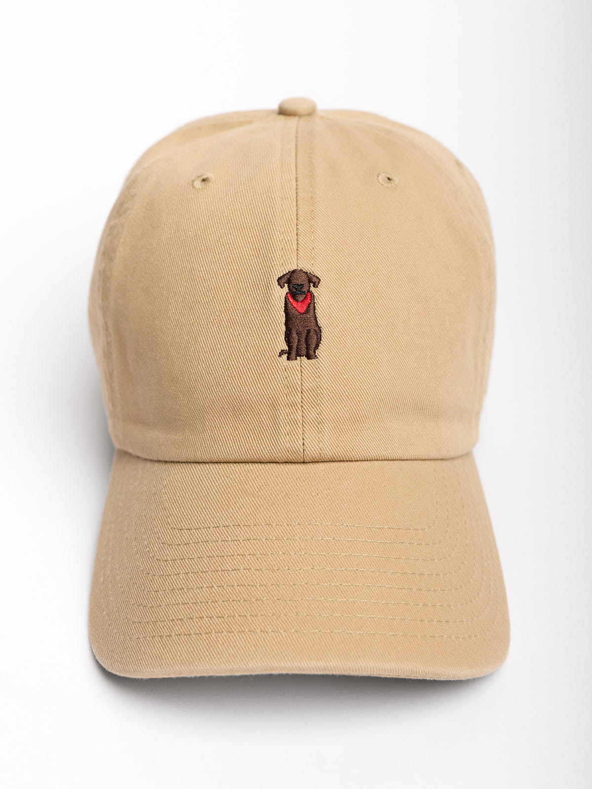 47 Chocolate Lab Runner Icon Clean Up Hat