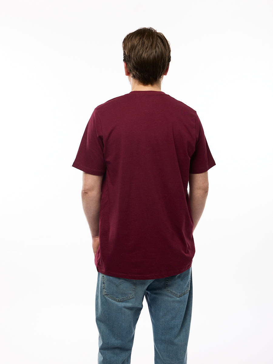 Country Liberty Guitar Pick Tee