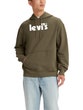 Levi's Green Relaxed Graphic Hoodie